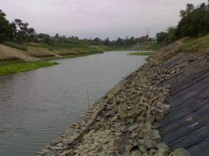 Read more about the article টাঙ্গন নদী সম্পর্কে বিস্তারিত Tangoan River