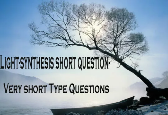 সালোক-সংশ্লেষ সংক্ষিপ্ত প্রশ্ন-Very short Type Questions