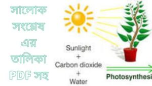 Read more about the article সালোকসংশ্লেষ এর তালিকা PDF সহ।1(List of photosynthesis with PDF)